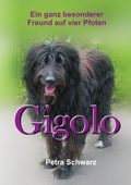 Cover: Gigolo - epubli