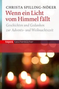 Cover: Wenn ein Licht vom Himmel f&auml;llt - Topos plus