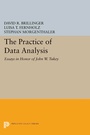 Cover: The Practice of Data Analysis - Princeton University Press