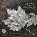 Cover: Tao - Amber Lotus