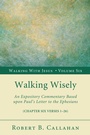 Cover: Walking Wisely - Wipf and Stock Publishers