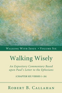 Enlarge image Cover: Walking Wisely - Wipf and Stock Publishers