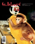 Cover: Cabinet 54: The Accident - Cabinet