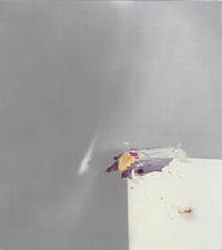 Enlarge image Cover: Laura Letinsky: Ill Form & Void Full - Radius Books