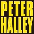 Cover: Peter Halley: Since 2000 - Maruani & Noirhomme Gallery
