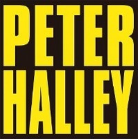 Enlarge image Cover: Peter Halley: Since 2000 - Maruani & Noirhomme Gallery