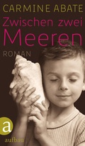 Cover: Zwischen zwei Meeren - Aufbau