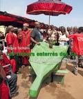 Cover: Les tr&eacute;sors enterr&eacute;s des Ga L'art des cercueils au Ghana - Till Schaap Edition