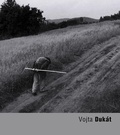 Cover: Vojta Dukat - Torst