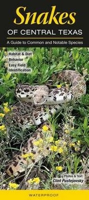 Enlarge image Cover: Snakes of Central Texas - Quick Reference Publishing, Inc
