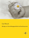 Cover: Beitraege zur Entwicklungsgeschichte des Knochensystems - Vero Verlag
