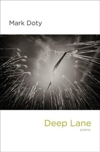 Enlarge image Cover: Deep Lane - WW Norton & Co
