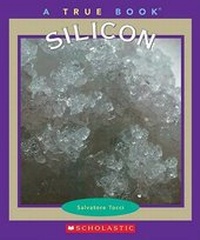 Abbildung von: Silicon - Children's Press(CT)