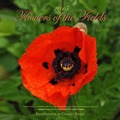 Cover: 2015 Flowers of the Fields - Fields Publishing