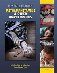 Enlarge image Cover: Methamphetamine and Other Amphetamines - Mason Crest Publishers