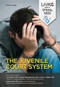 Cover: The Juvenile Court System - Mason Crest Publishers