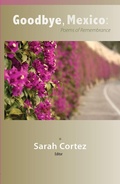 Cover: Goodbye Mexico - Texas Review Press