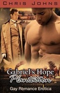Cover: Gabriel's Hope Plantation - Blvnp Incorporated