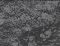 Enlarge image Cover: The Possible - University of California, Berkeley Art Museum and Pacific Film Archive