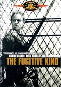 Cover: The Fugitive Kind - Tcfhe/MGM