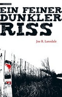 Abbildung von: Ein feiner dunkler Riss - Golkonda Verlag