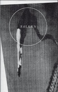 Cover: Fallen - August Dreesbach Verlag