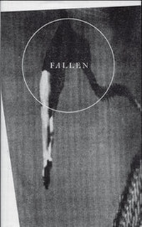 Enlarge image Cover: Fallen - August Dreesbach Verlag