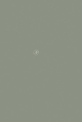 Cover: Immunological Tolerance - Academic Press