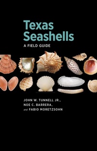 Enlarge image Cover: Texas Seashells - Texas A & M University Press