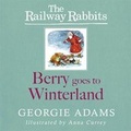 Cover: Berry Goes to Winterland - Orion (an Imprint of The Orion Publishing Group Ltd )