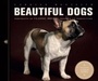Cover: Beautiful Dogs - Ivy Press