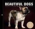 Cover: Beautiful Dogs - Ivy Press