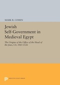 Cover: Jewish Self-Government in Medieval Egypt - Princeton University Press
