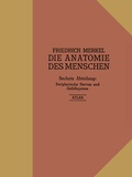 Abbildung von: Atlas zu Peripherische Nerven und Gefäßsystem - J.F. Bergmann-Verlag