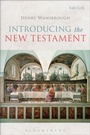 Cover: Introducing the New Testament - T.& T.Clark Ltd