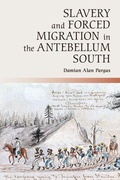 Cover: Slavery and Forced Migration in the Antebellum South - Cambridge University Press