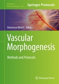 Cover: Vascular Morphogenesis - Humana