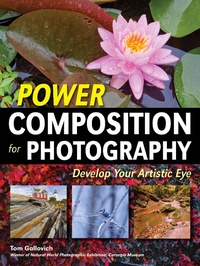 Abbildung von: Power Composition For Photography - Amherst Media