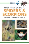 Cover: Sasol First Field Guide to Spiders & Scorpions of Southern Africa - Struik Nature