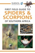 Cover: Sasol First Field Guide to Spiders & Scorpions of Southern Africa - Struik Nature