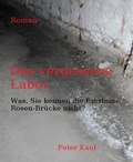 Cover: Das vergessene Labor - BookRix