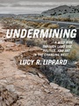 Cover: Undermining - The New Press