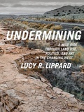 Cover: Undermining - The New Press