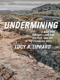 Enlarge image Cover: Undermining - The New Press