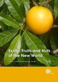 Cover: Exotic Fruits and Nuts of the New World - CABI Publishing