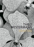 Cover: Thilo Westermann - Verlag f&uuml;r Moderne Kunst
