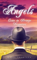 Cover: Angels Come in Strange Disguises - Clink Street Publishing