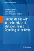 Cover: Glutamate and ATP at the Interface of Metabolism and Signaling in the Brain - Springer