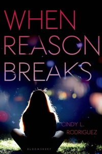 Enlarge image Cover: When Reason Breaks - Bloomsbury Childrens Books