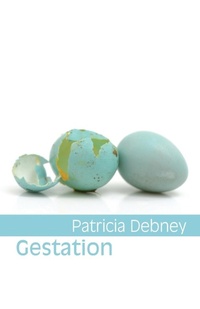 Enlarge image Cover: Gestation - Shearsman Books